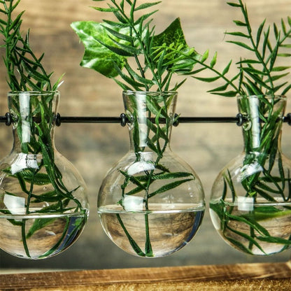 Bulb Glass Vases with Wooden Stand