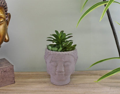 Trio of Faux Succulents in Buddha Head Plant Pot