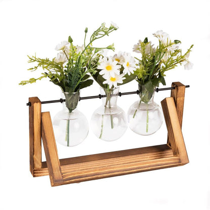 Bulb Glass Vases with Wooden Stand