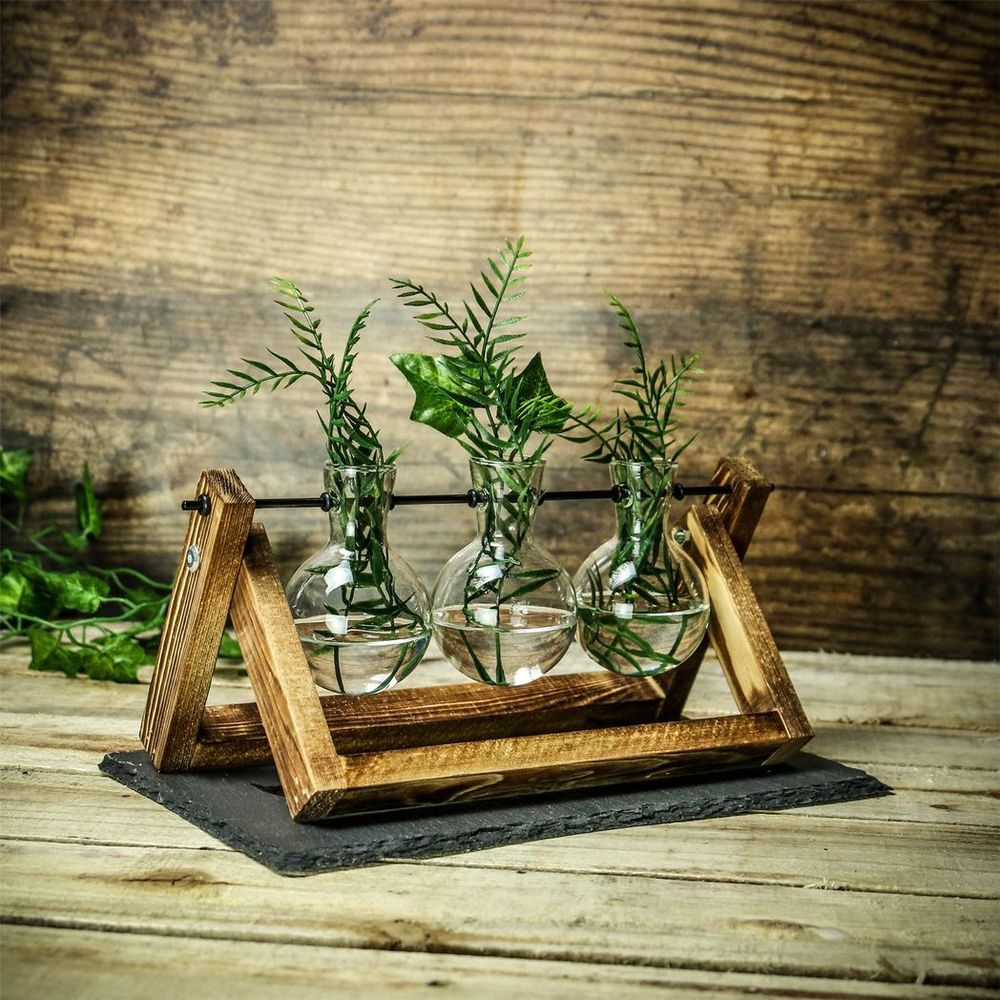 Bulb Glass Vases with Wooden Stand