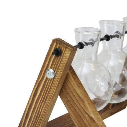 Bulb Glass Vases with Wooden Stand